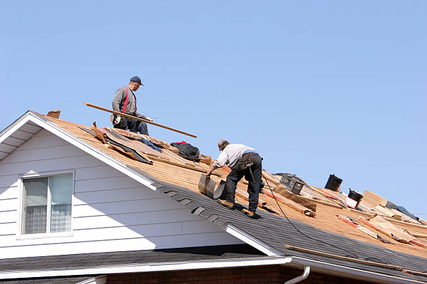 Roof Coating Services in Nokesville, VA